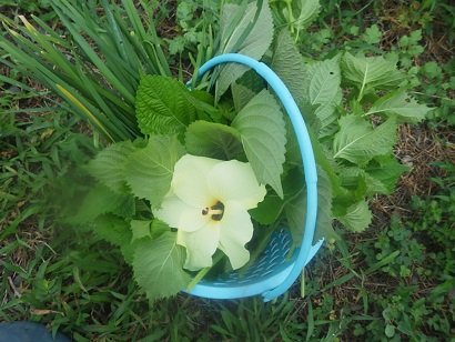 c0280206_9144150.jpg