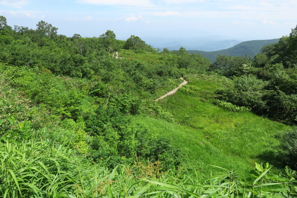 b0093515_7151424.jpg