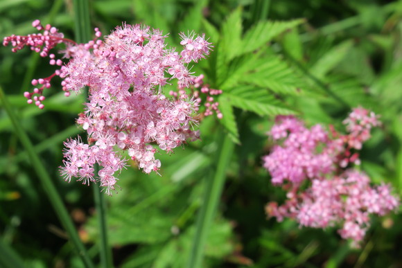 b0093515_7163912.jpg
