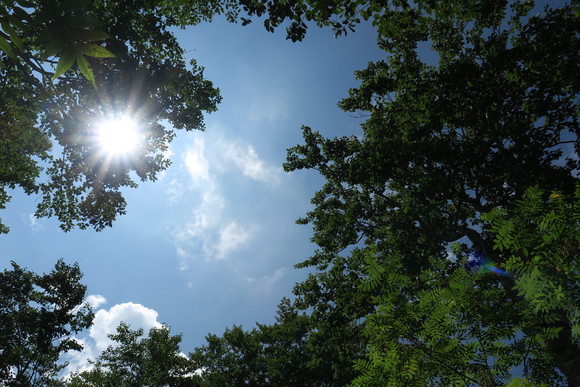 b0093515_75157.jpg