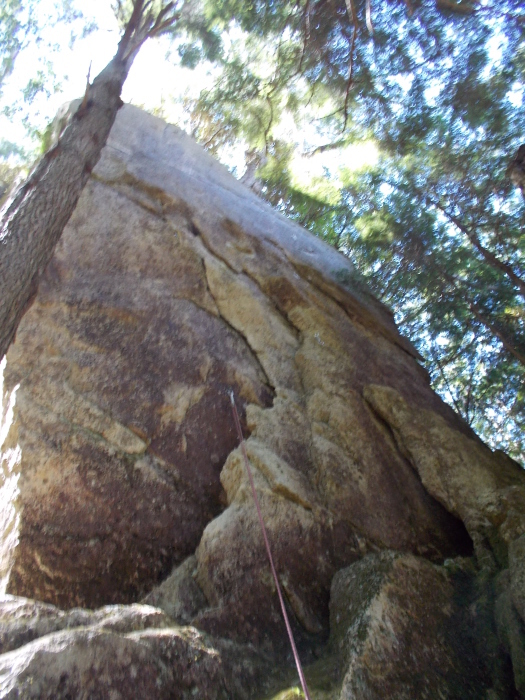 b0037220_23082716.jpg