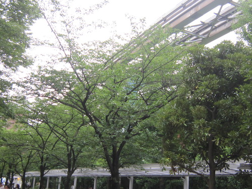 d0162225_9174490.jpg