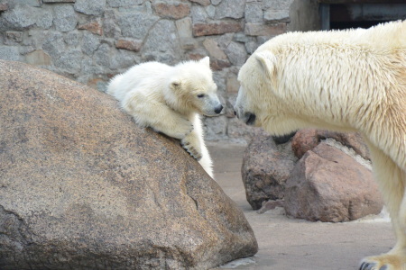 f0344626_23293070.jpg