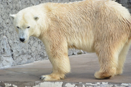 f0344626_23305619.jpg