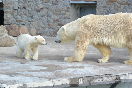f0344626_23381246.jpg