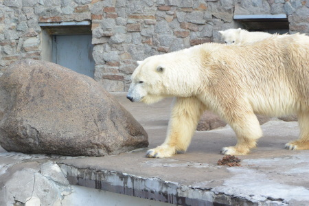 f0344626_23382750.jpg