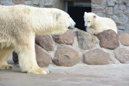 f0344626_23384363.jpg