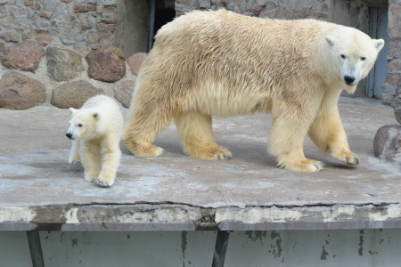 f0344626_23403428.jpg