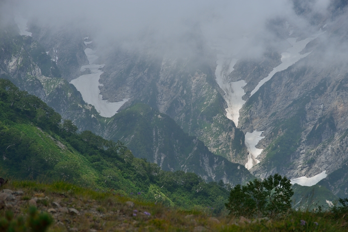 b0236334_21125167.jpg