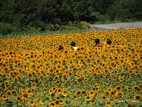 b0343934_22133816.jpg