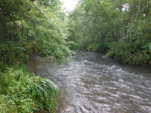 e0262235_21205563.jpg