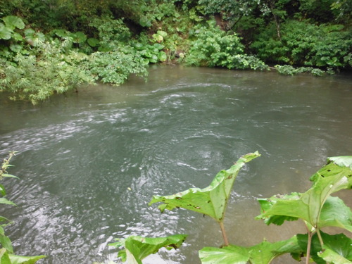 e0262235_2132437.jpg