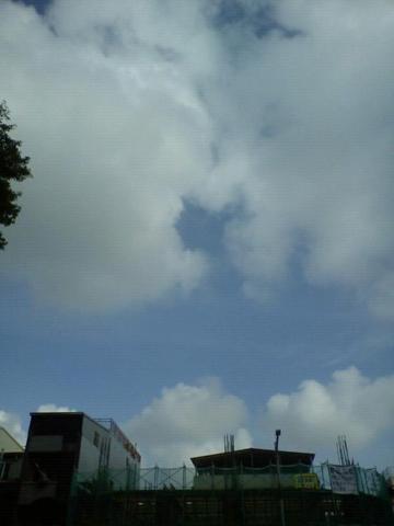 c0113238_4281752.jpg