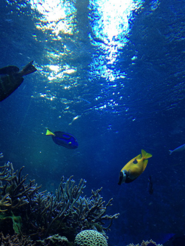 c0153740_17261612.jpg