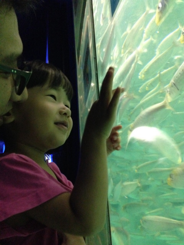 c0153740_17264131.jpg