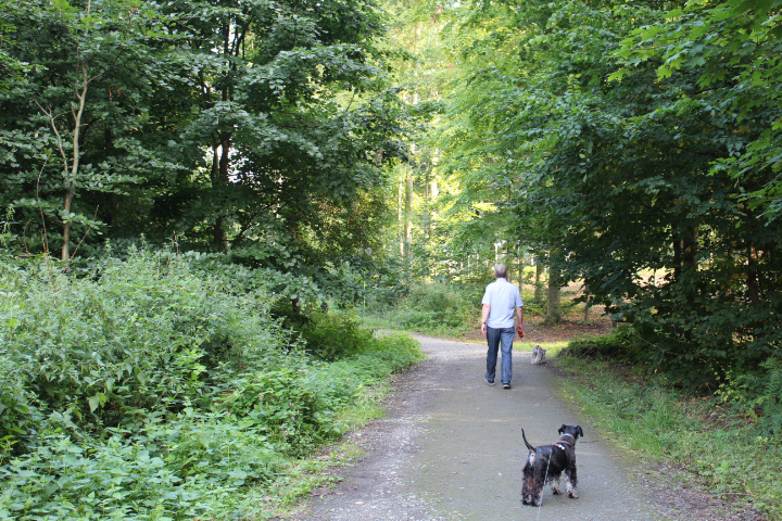 c0153740_1727444.jpg