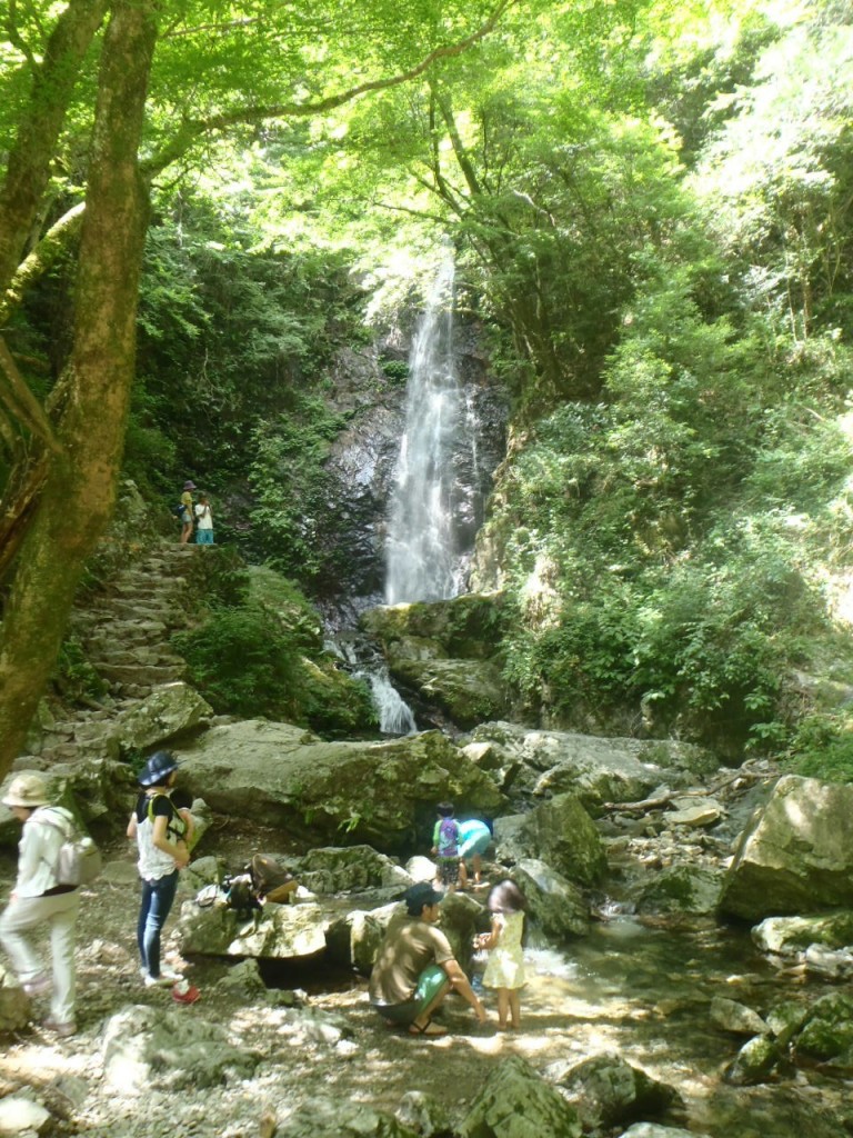 d0132743_122453.jpg