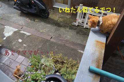d0013645_16235105.jpg