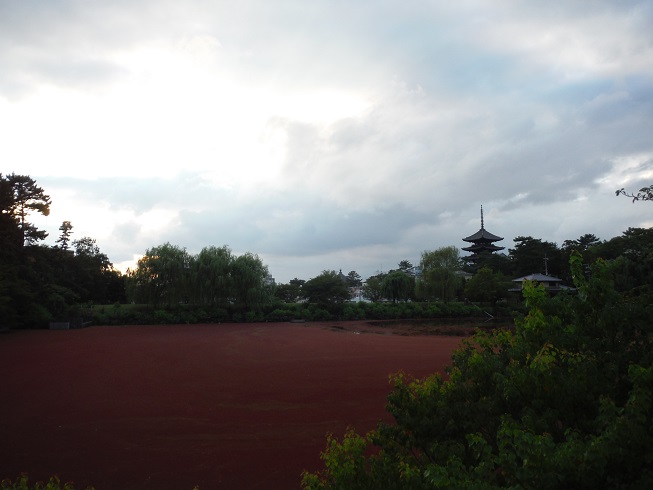 a0237349_12395023.jpg