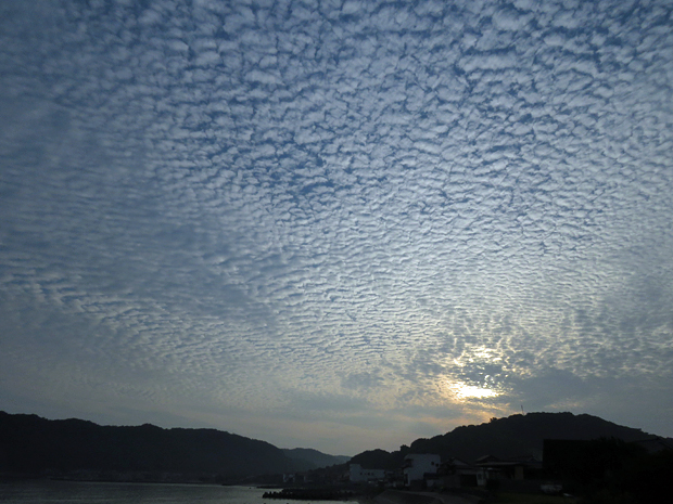 f0214649_54407.jpg
