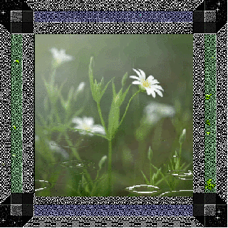 b0133752_12541080.gif