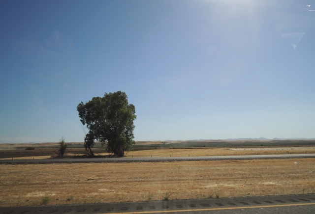 b0173754_10005320.jpg