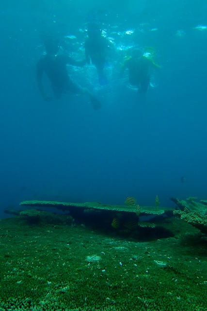 b0062363_1419537.jpg