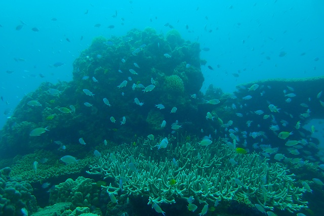 b0062363_14201069.jpg