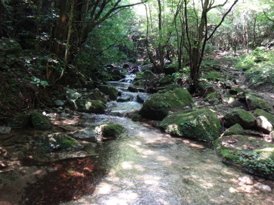 d0182075_3333829.jpg