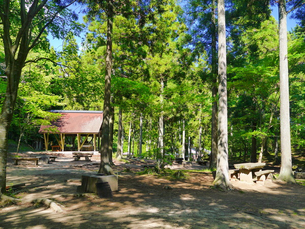 b0197678_11262865.jpg