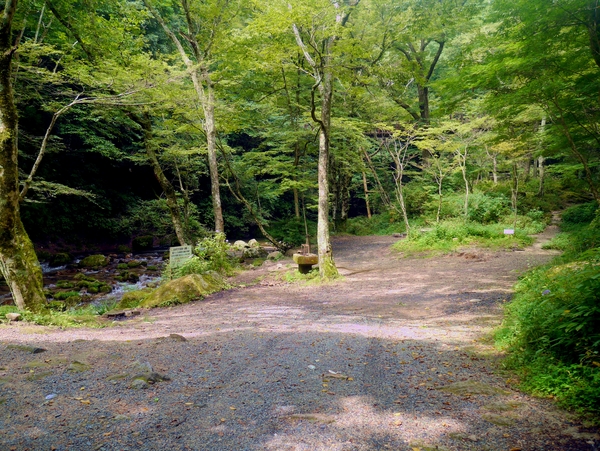 b0197678_11273156.jpg