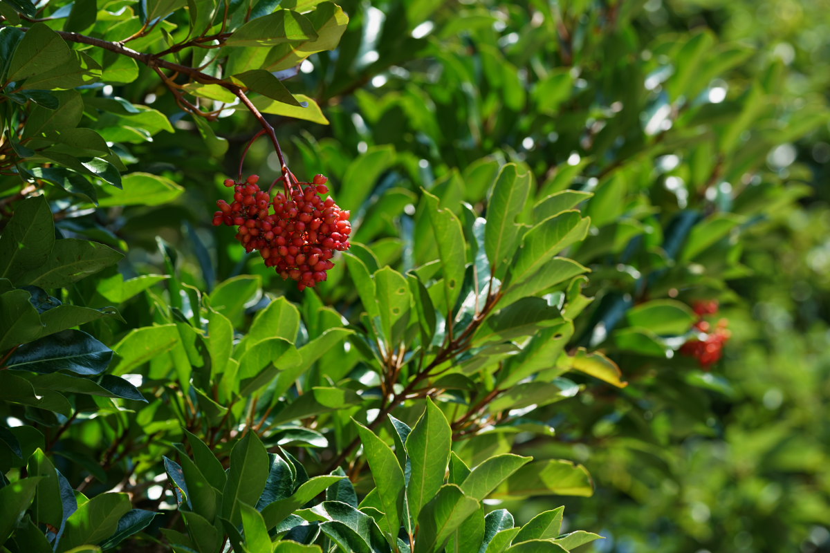 a0083081_15463151.jpg