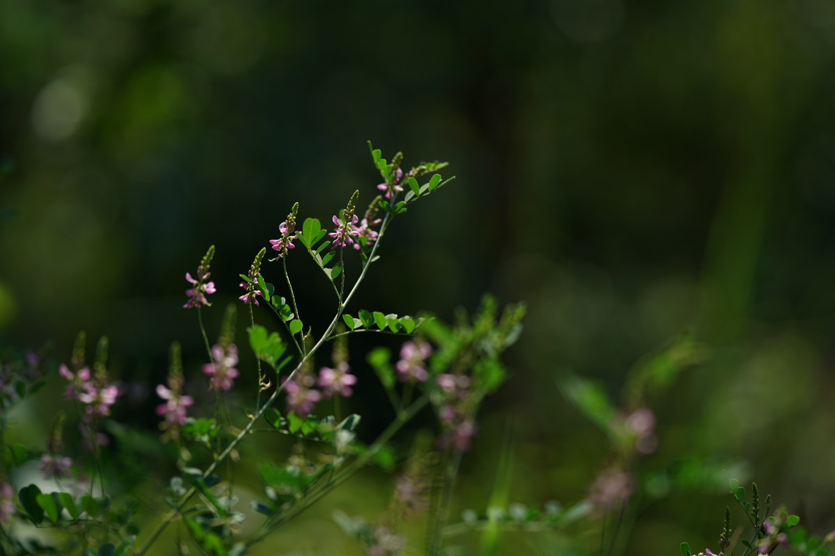 a0083081_1547659.jpg