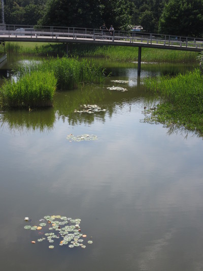 b0209886_12355857.jpg