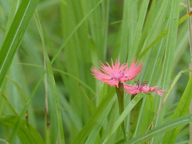 f0357487_2335295.jpg