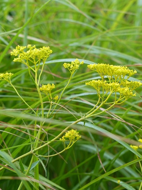 f0357487_23363678.jpg
