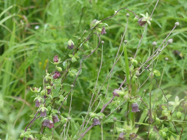 f0357487_23385977.jpg