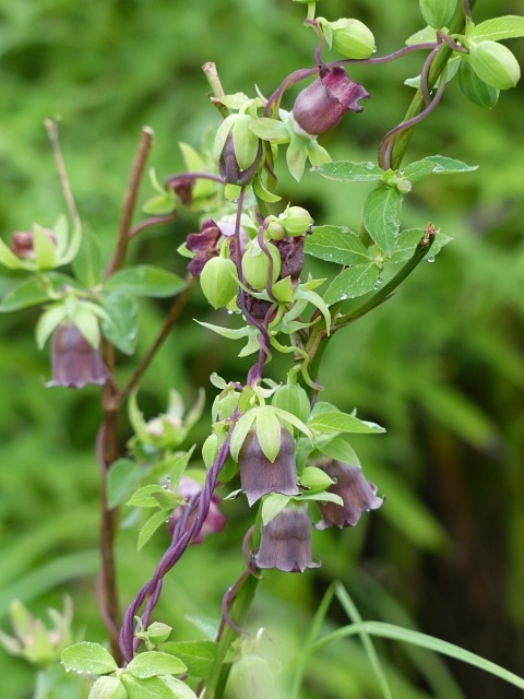 f0357487_23391594.jpg