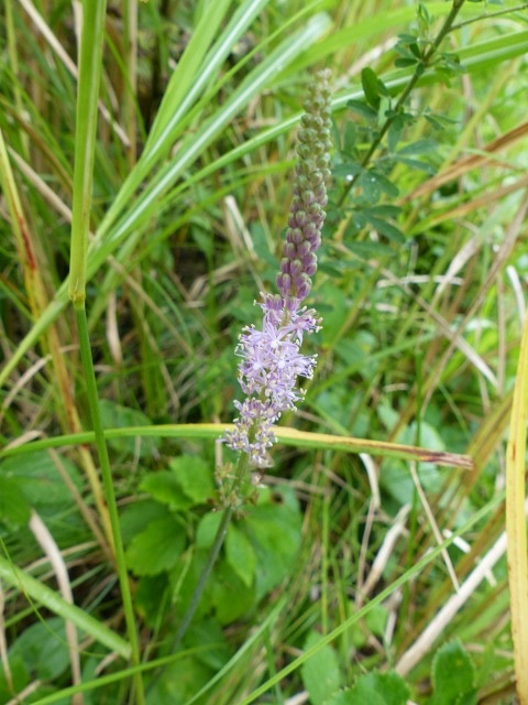 f0357487_23401770.jpg
