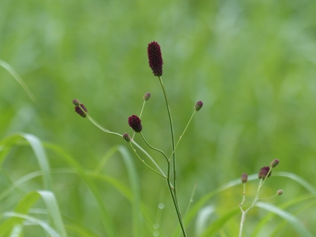 f0357487_23405194.jpg