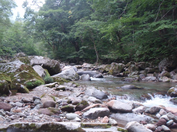 c0177497_19250197.jpg