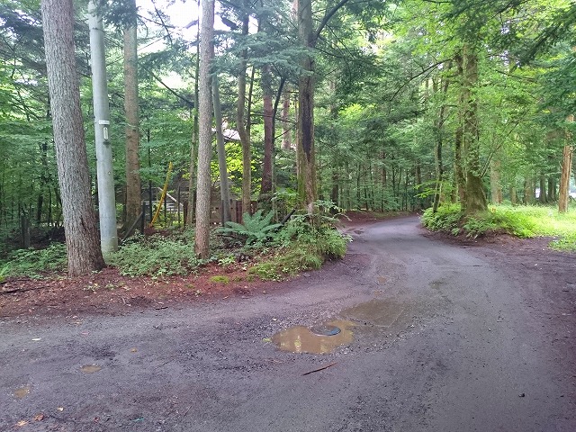 f0100911_21304794.jpg