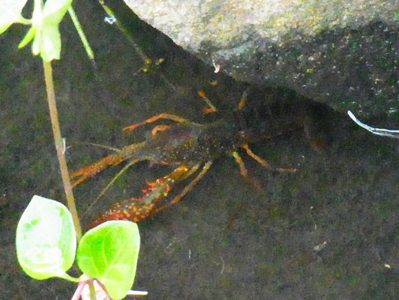 e0083517_00180611.jpg
