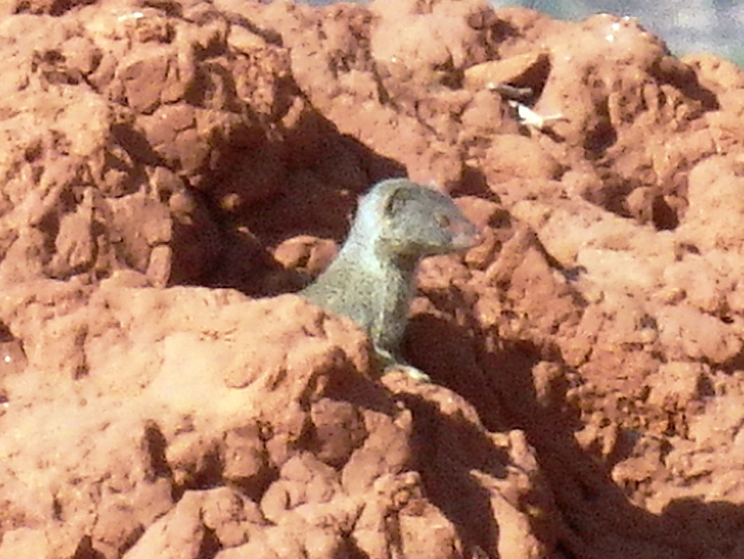 b0124020_23152540.jpg