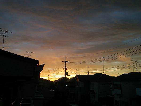b0199924_15405540.jpg