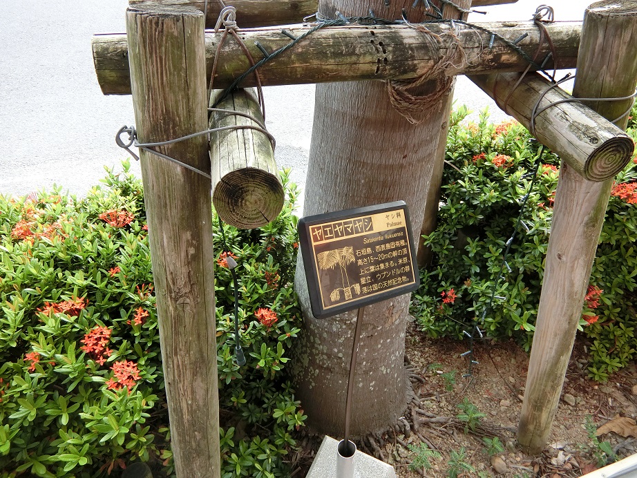c0142326_1234797.jpg