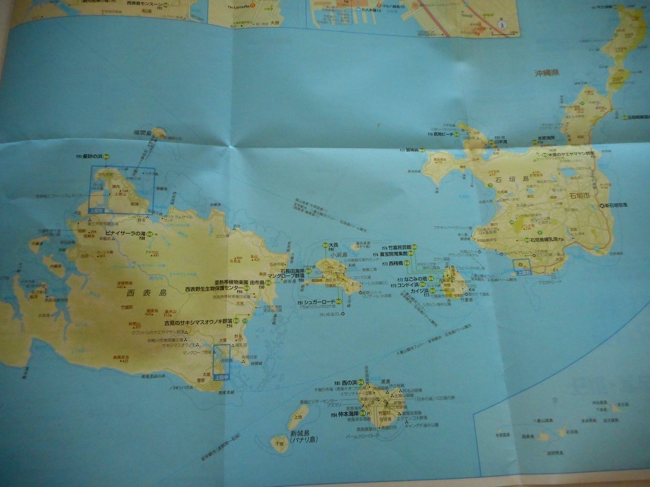 c0142326_963595.jpg