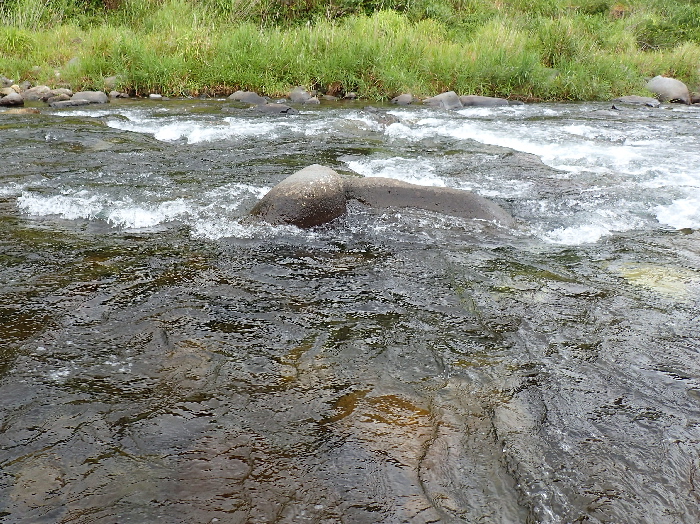 f0103126_2110848.jpg