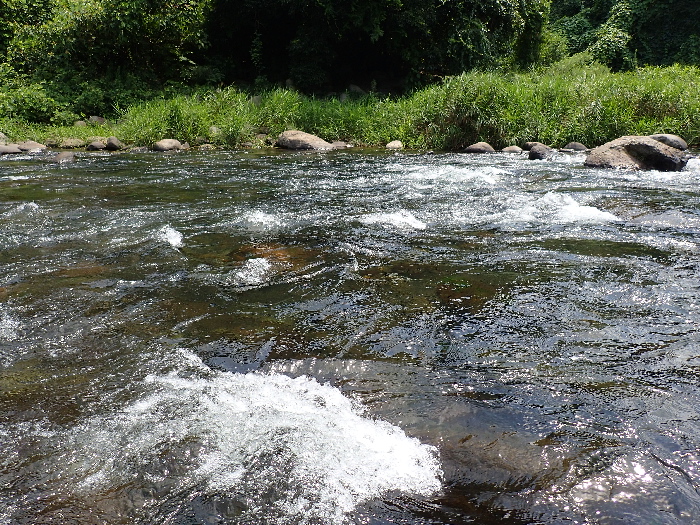 f0103126_21213487.jpg