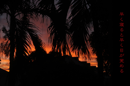 d0042827_8144897.jpg